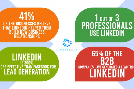 1 out of 3 Professionals Use LinkedIn Infographic