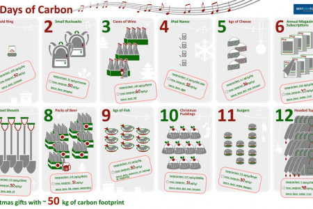 12 Days of Carbon Infographic