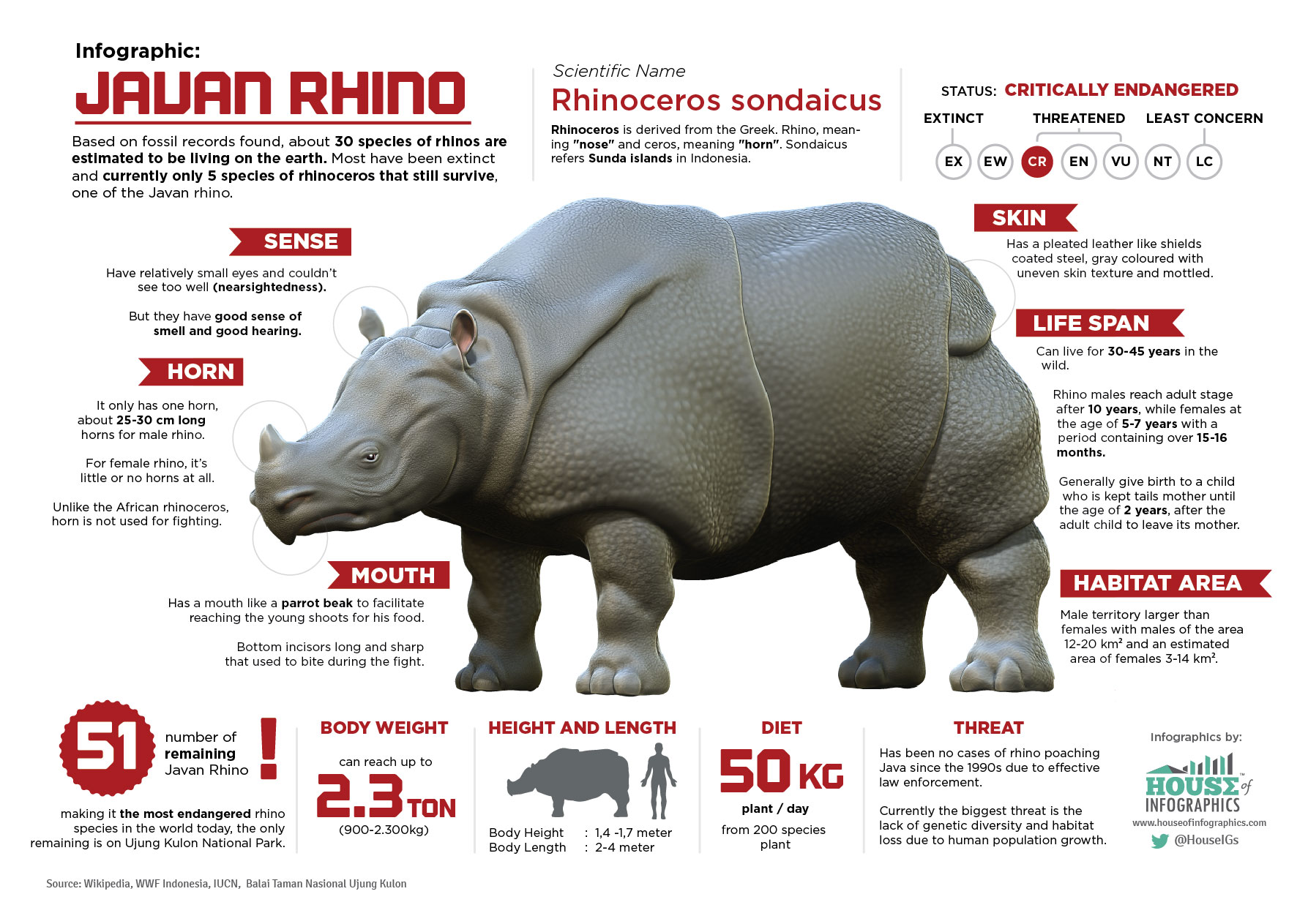 rhinoceros food web