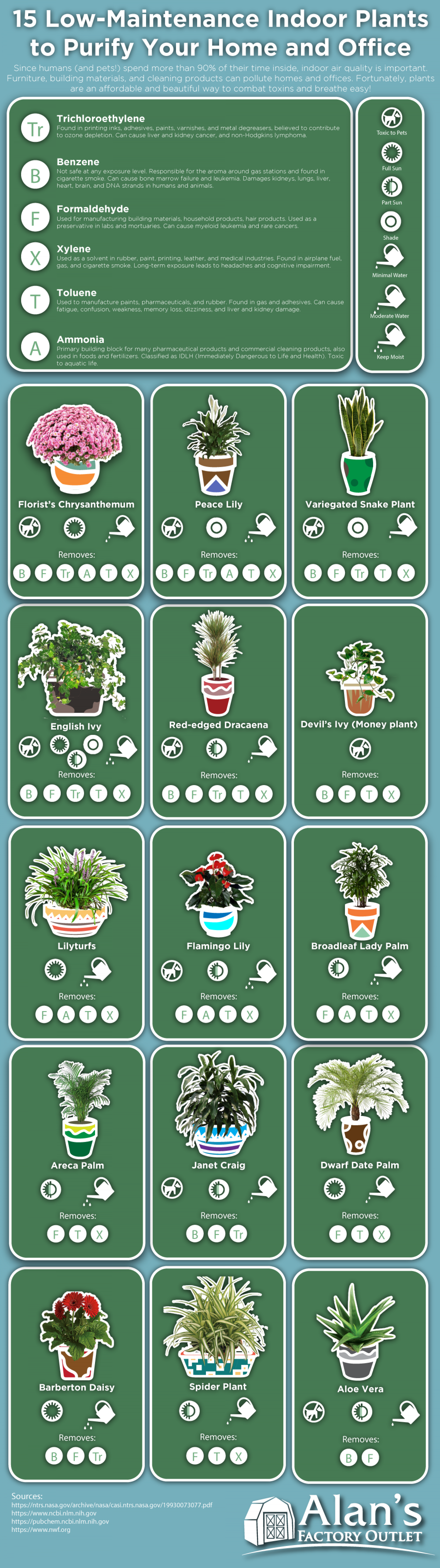 15 Low-Maintenance Indoor Plants to Purify the Air in Your Home or Office Infographic