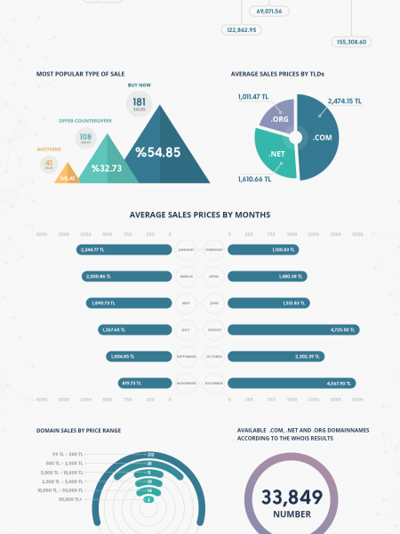 2013 Turkish Domain Market Study Infographic
