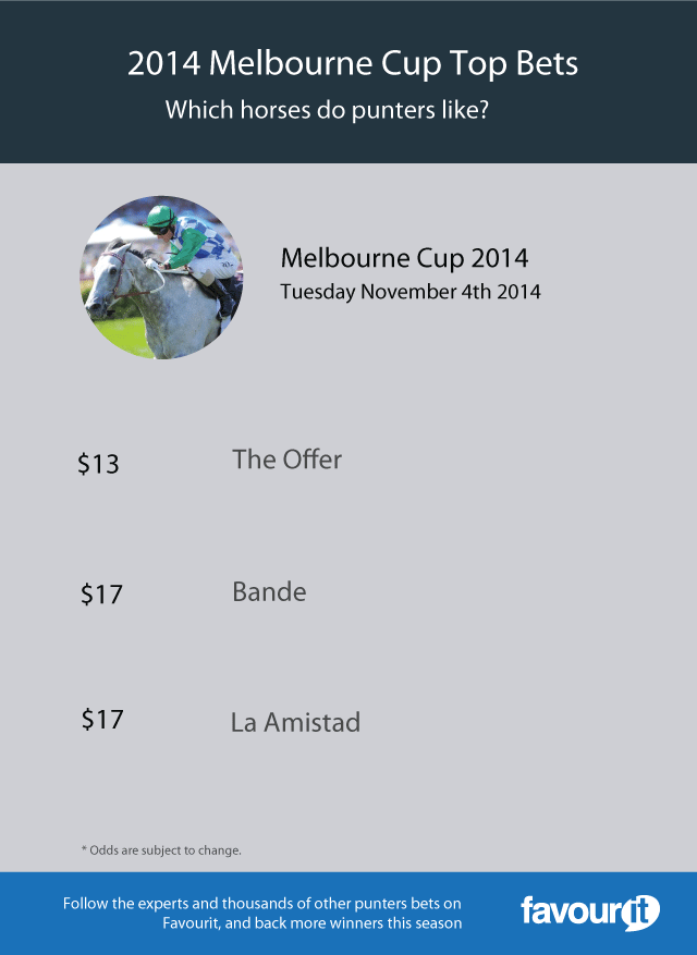 2014 Melbourne Cup racing betting tips Infographic