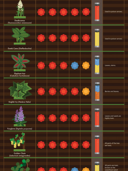 30 Garden Plants That Are Harmful For Your Pets Infographic