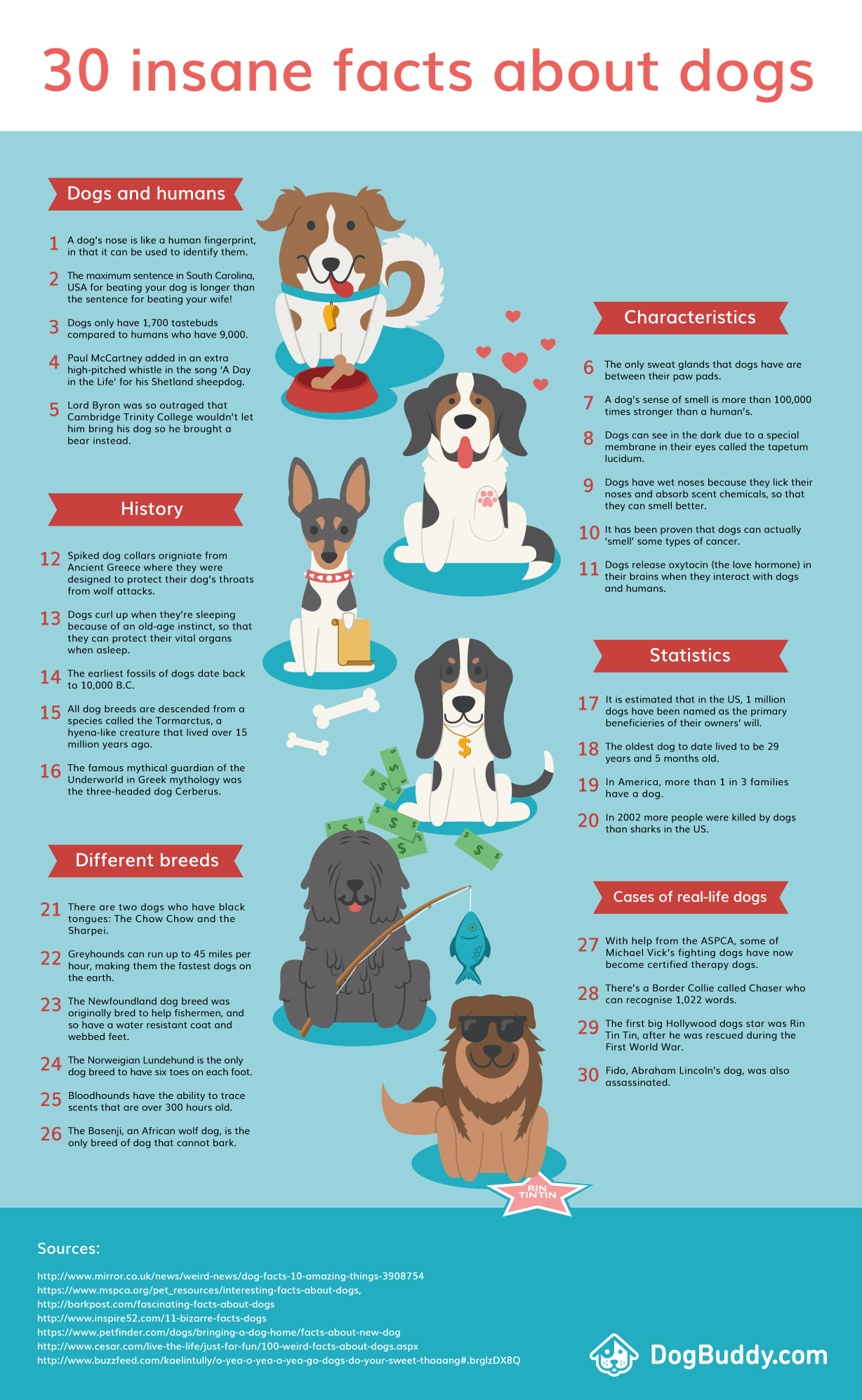 30 Insane Facts About Dogs Visual.ly