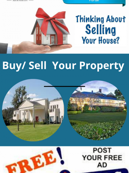 Houses for sale Adelaide | Adsct Classified  Infographic