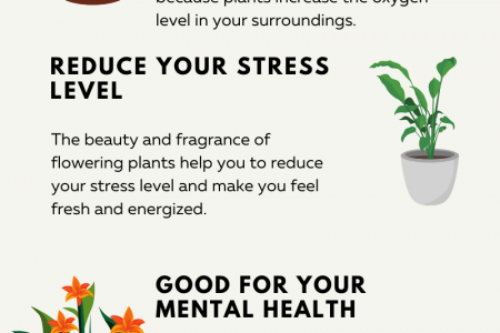 4 Health Benefits Of Keeping Flowering Plants In Your Home Infographic