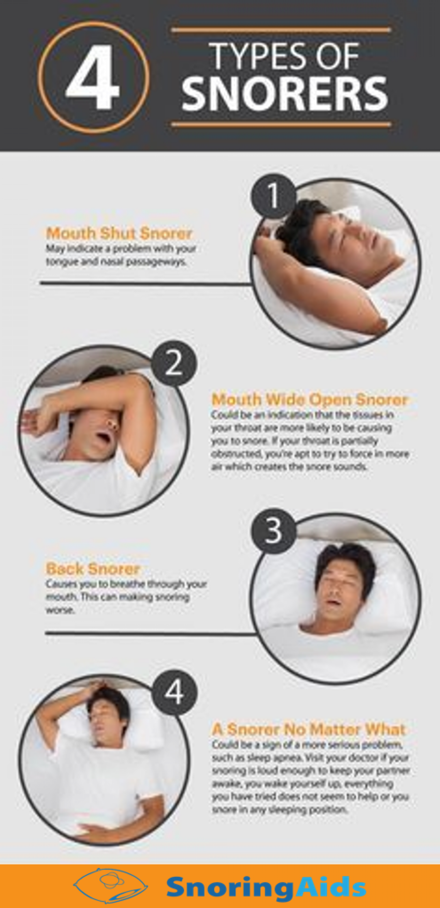 4 types of Snorers Infographic