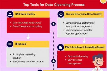5 Best Data Cleansing Tools for Businesses Infographic