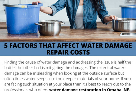 5 FACTORS THAT AFFECT WATER DAMAGE REPAIR COSTS  Infographic