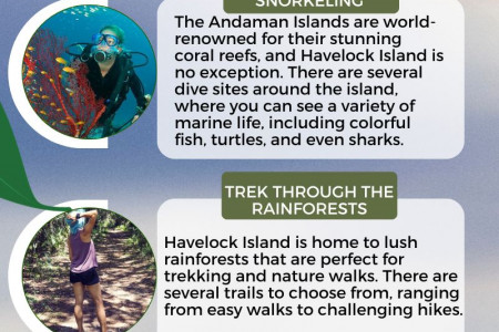 5 Things You Should Do In Havelock Islands! Infographic