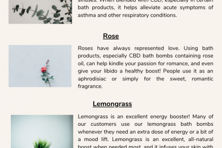 5 Types of Oils Used in CBD Bath Bombs Infographic