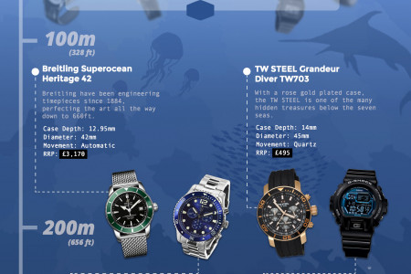 5 Watches to Dive For Infographic