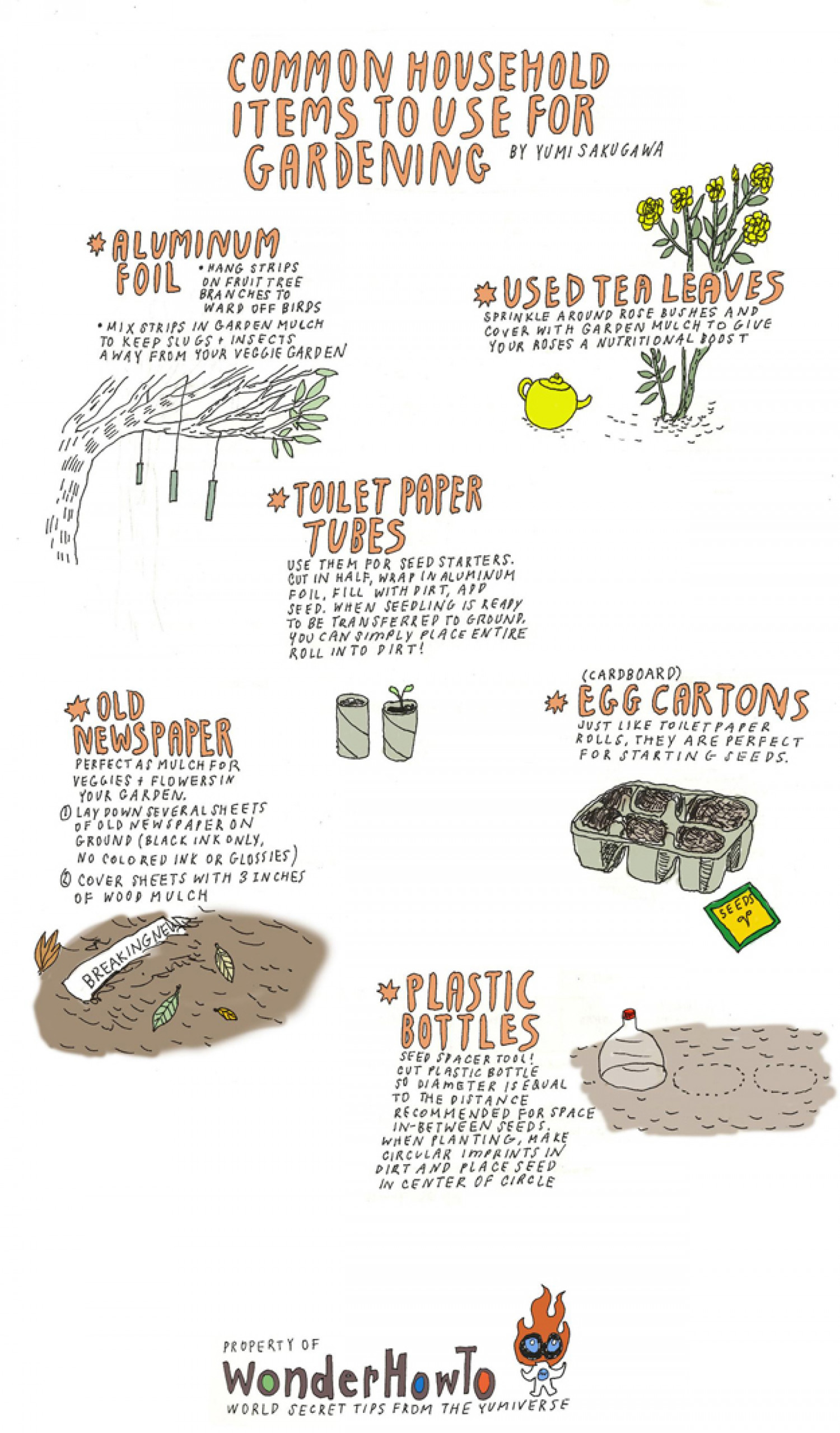 6 Common Household Items to Use in the Garden Infographic