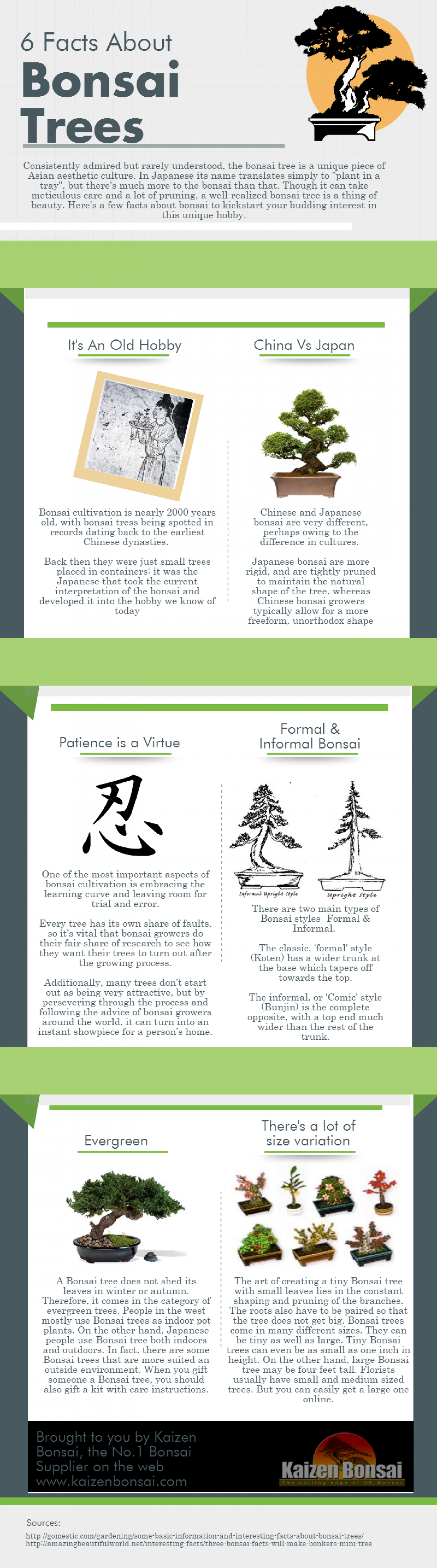 6 Interesting Facts About Bonsai Trees Infographic
