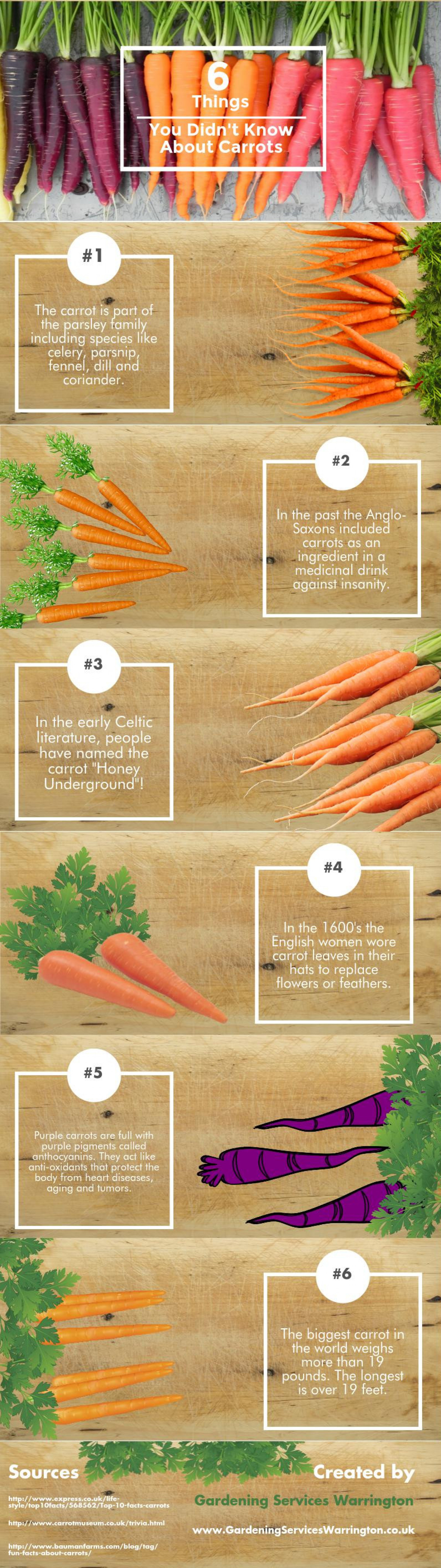 6 Things You Didn't Know About Carrots Infographic