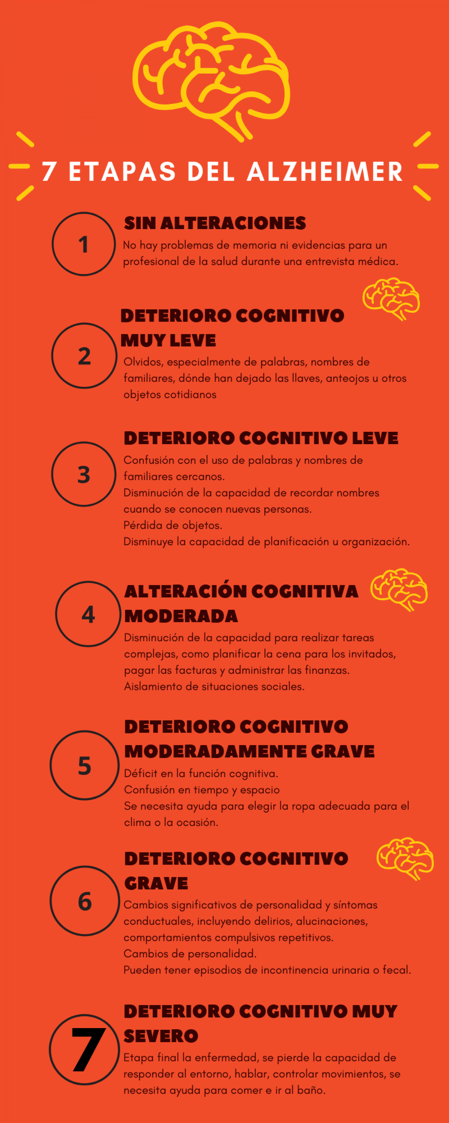 7 etapas del Alzheimer Infographic