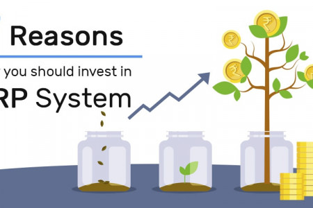 7 Reasons Why You Should Invest in ERP System Infographic