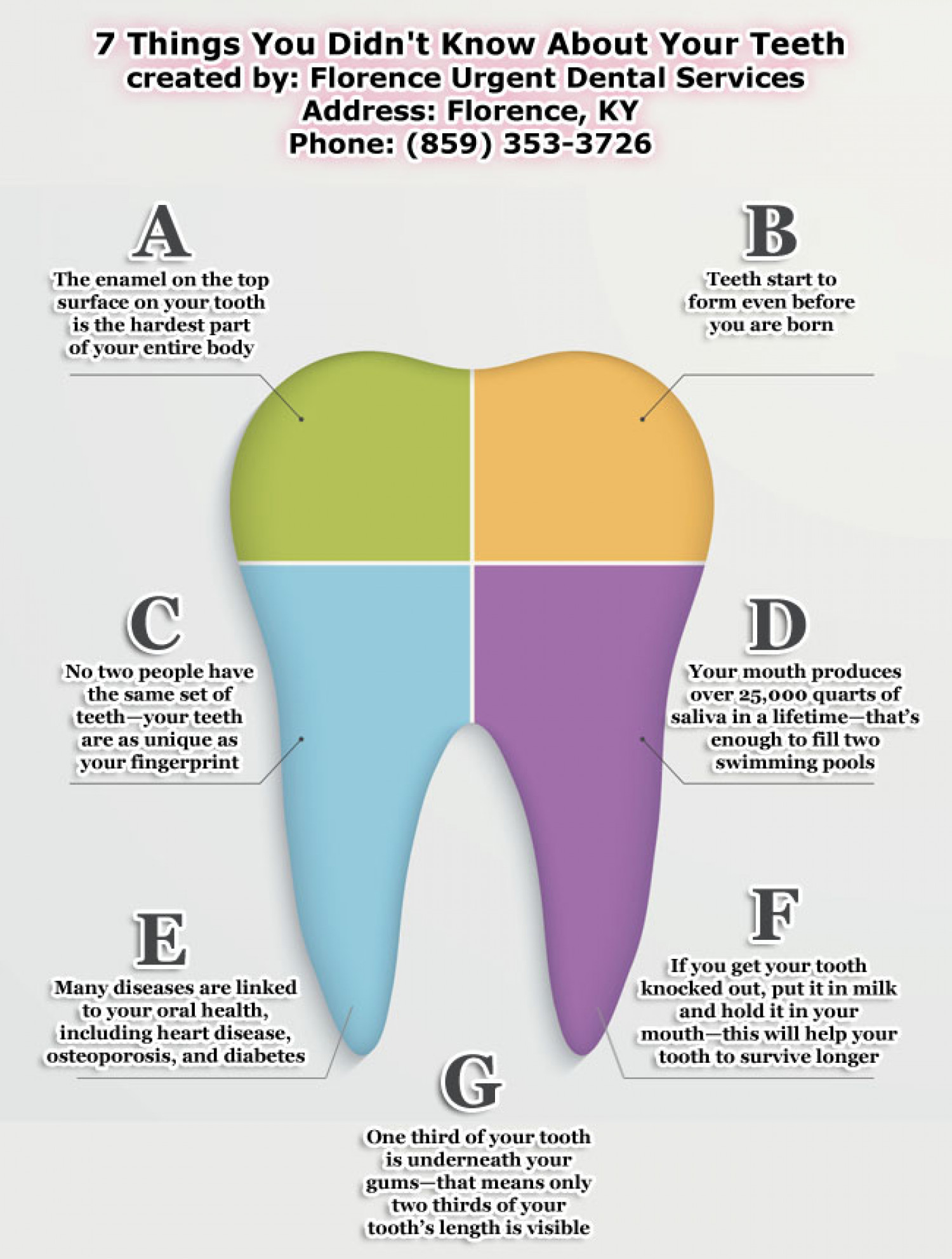 7 Things You Didn’t Know About Your Teeth Infographic