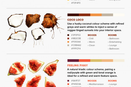 8 Colour Schemes From Nature For Your Home and Mind Infographic
