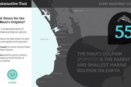 A future for the Maui's Dolphin? Infographic
