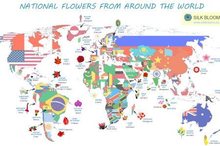 Around the World in 32 Flowers Infographic