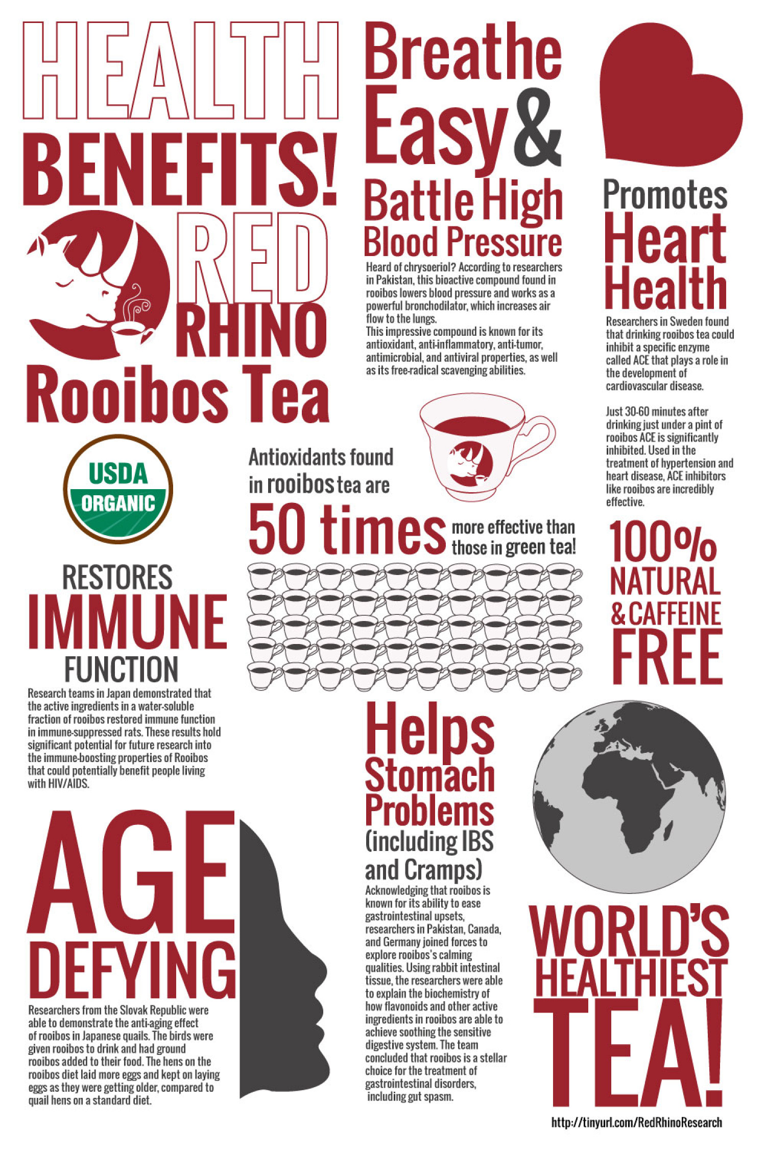 Benefits of Rooibos Tea Infographic