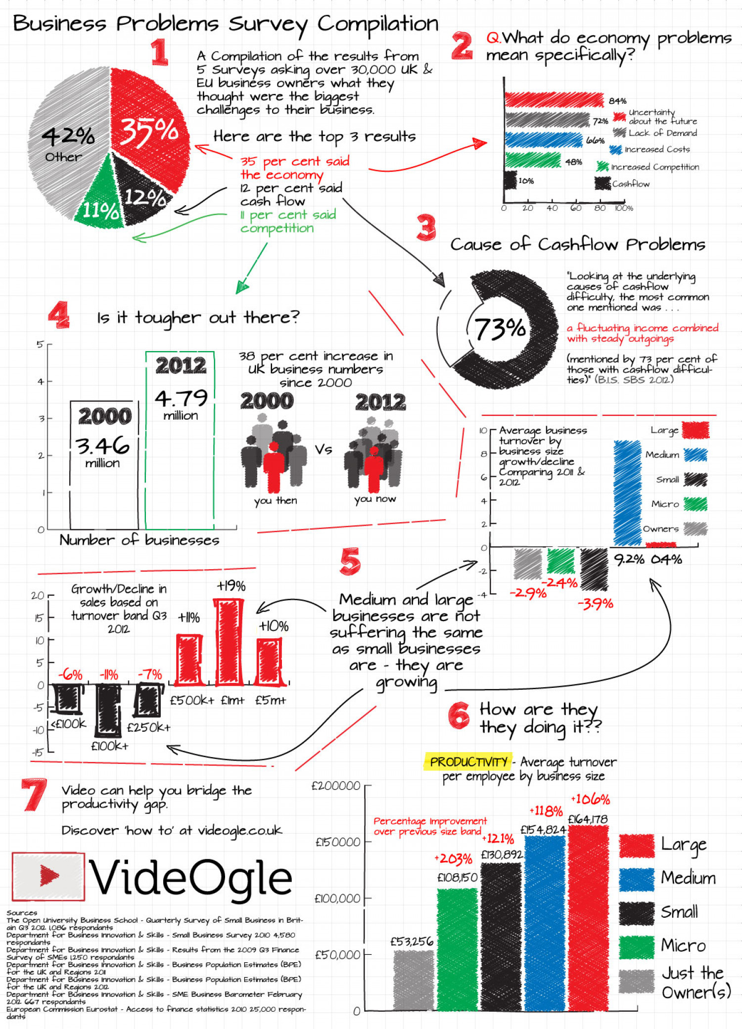 Business Problems Survey - Post Recession Infographic