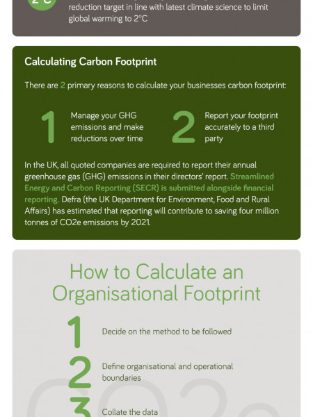 Calculating Your Businesses Carbon Footprint Infographic