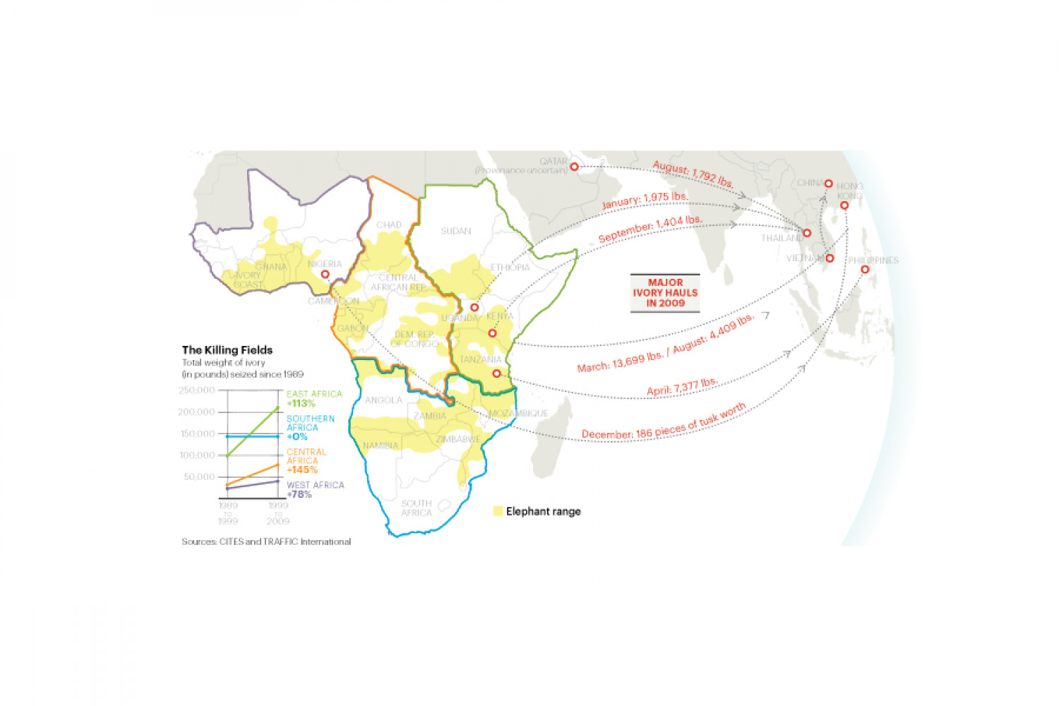 Ivory Hauls Infographic