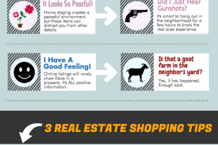 Looking at Homes Online Versus In Person Infographic