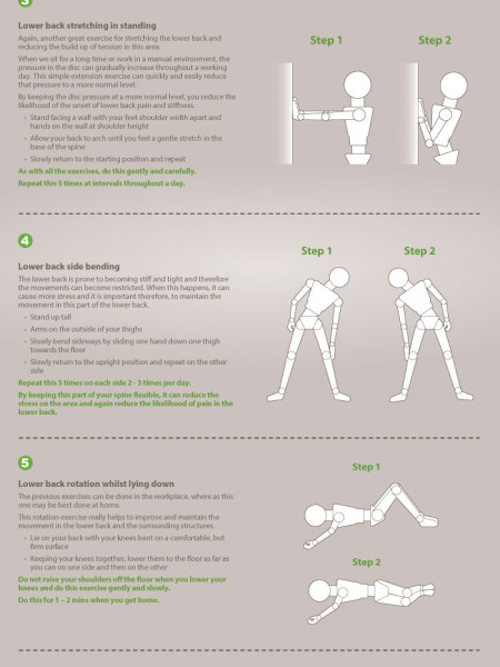 Lower Back Stretching and Strengthening Infographic