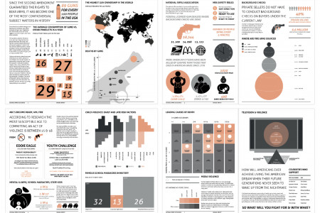 National Riffle Association  Infographic