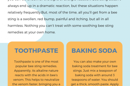 Natural Bee Sting Remedies Infographic