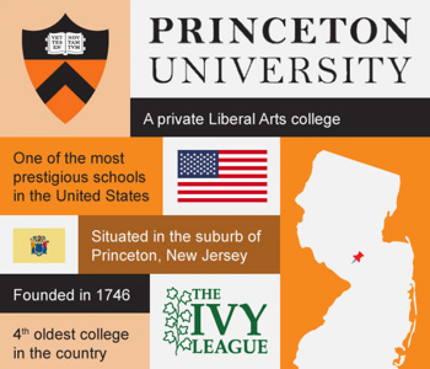 Princeton University Infographic Infographic