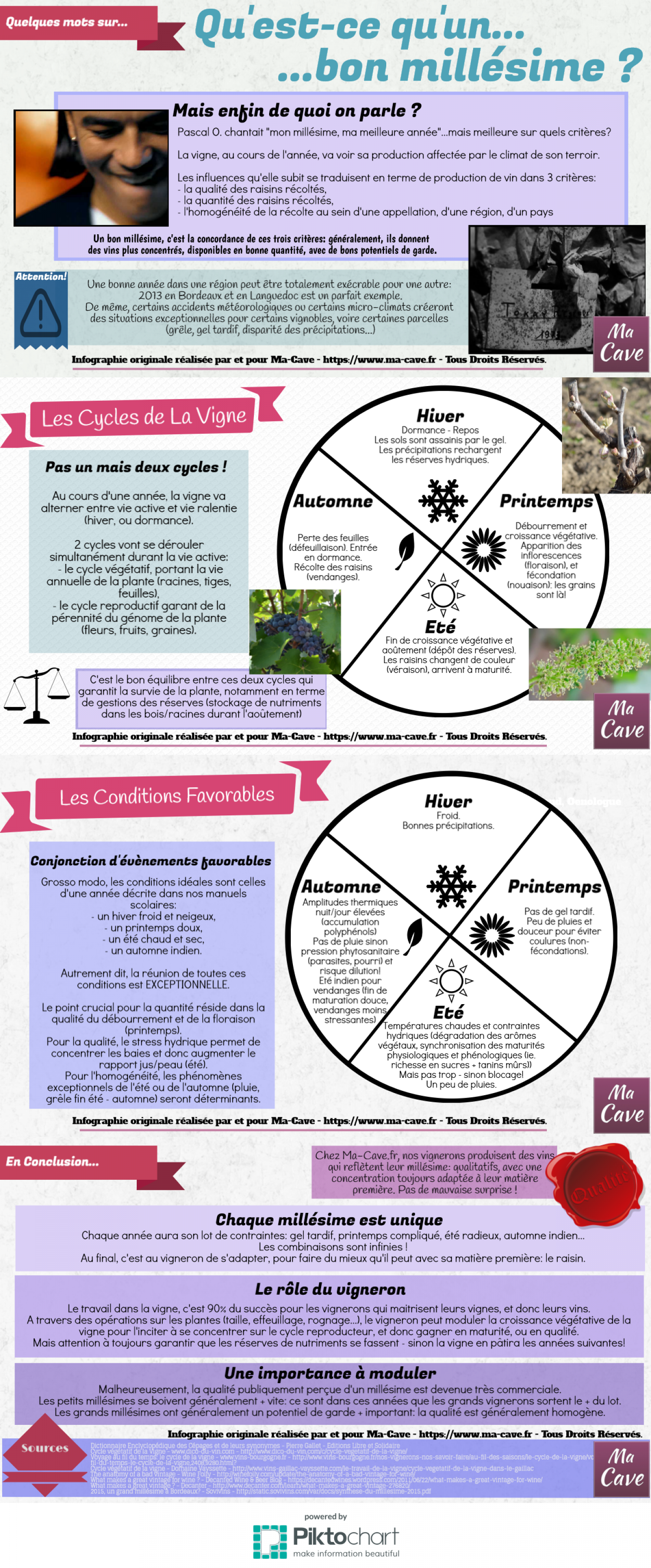 Qu'est-ce qu'un bon millésime ? Infographic