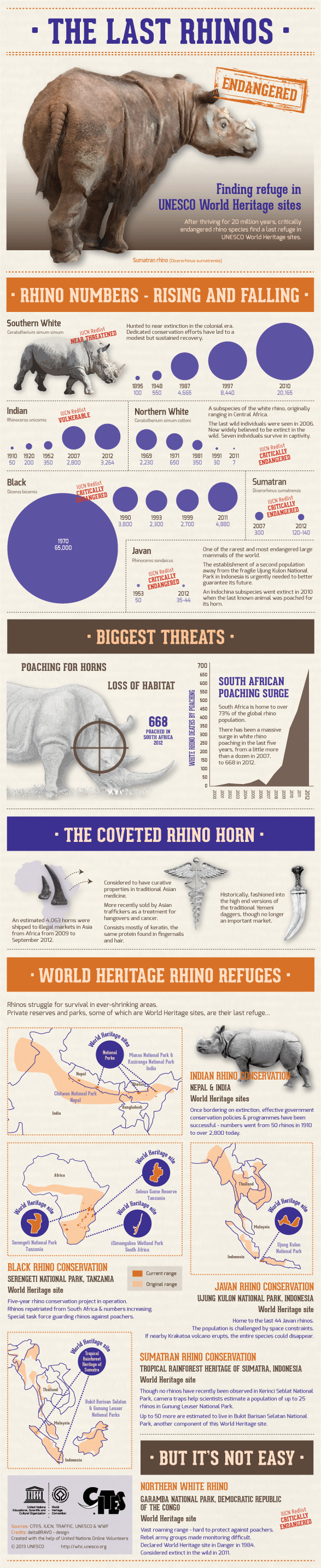 The Last Rhinos Find Refuge in World Heritage Sites Infographic