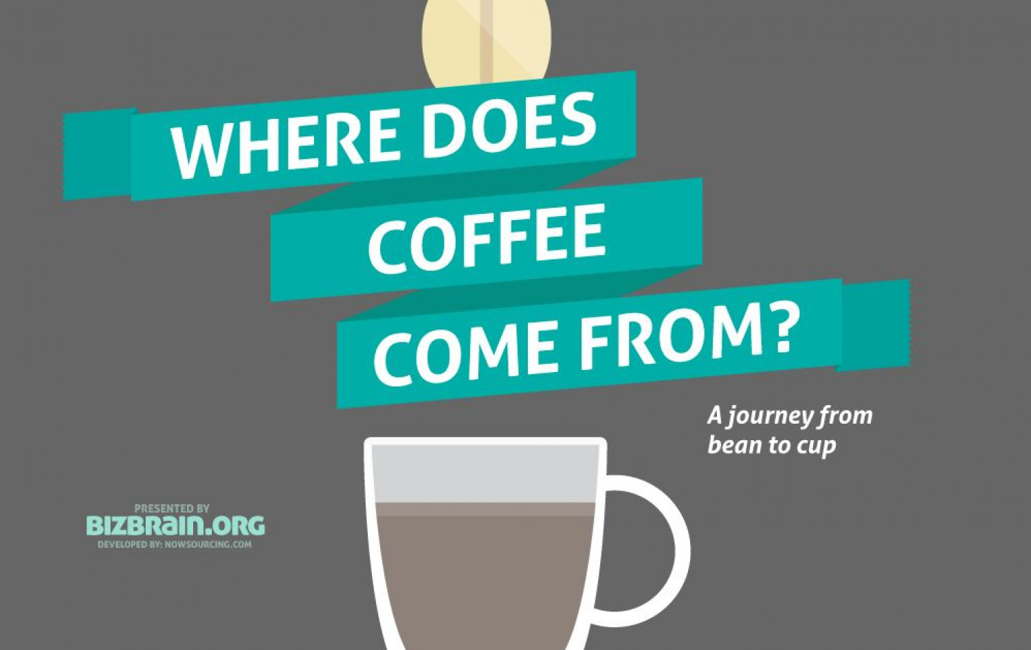 Where does coffee come from? Infographic