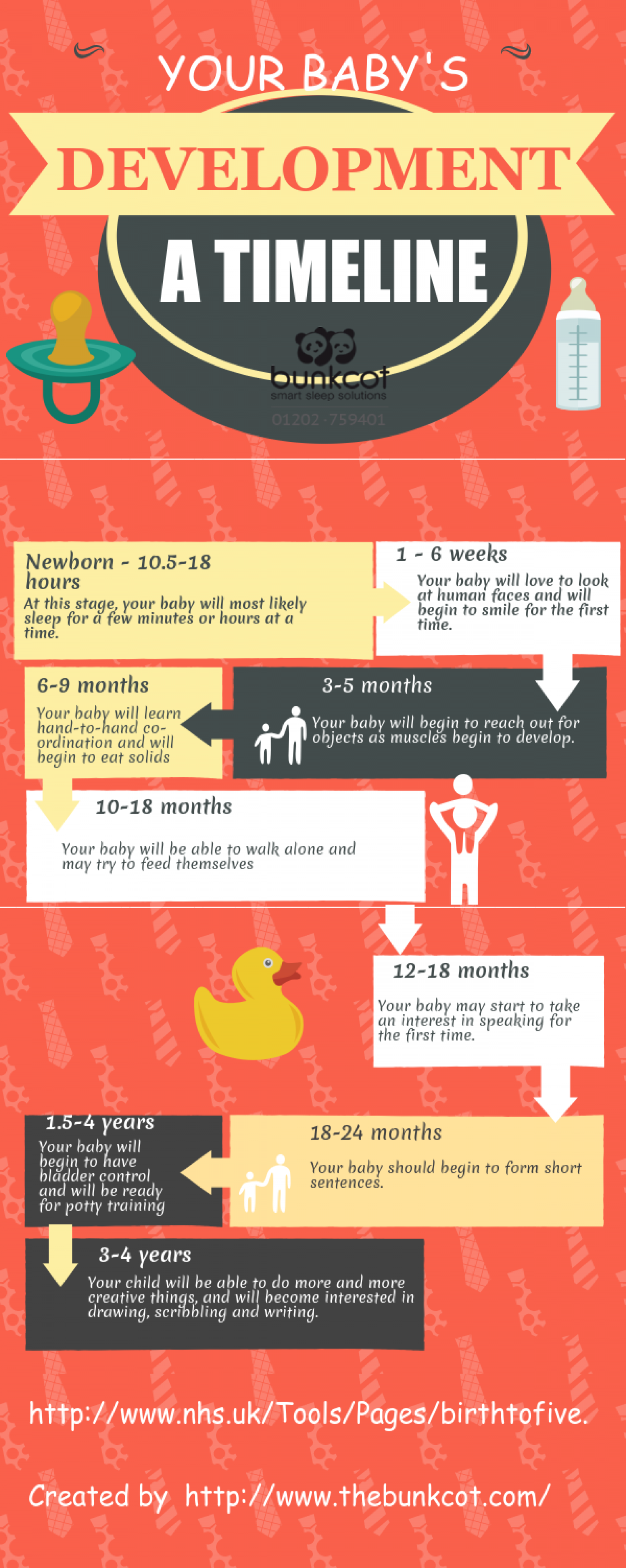 Your Baby's Development: A Timeline Infographic