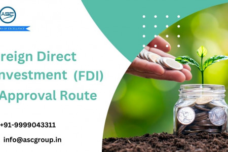 A Complete Guide to the FDI (Foreign Direct Investment) Approval Route Infographic