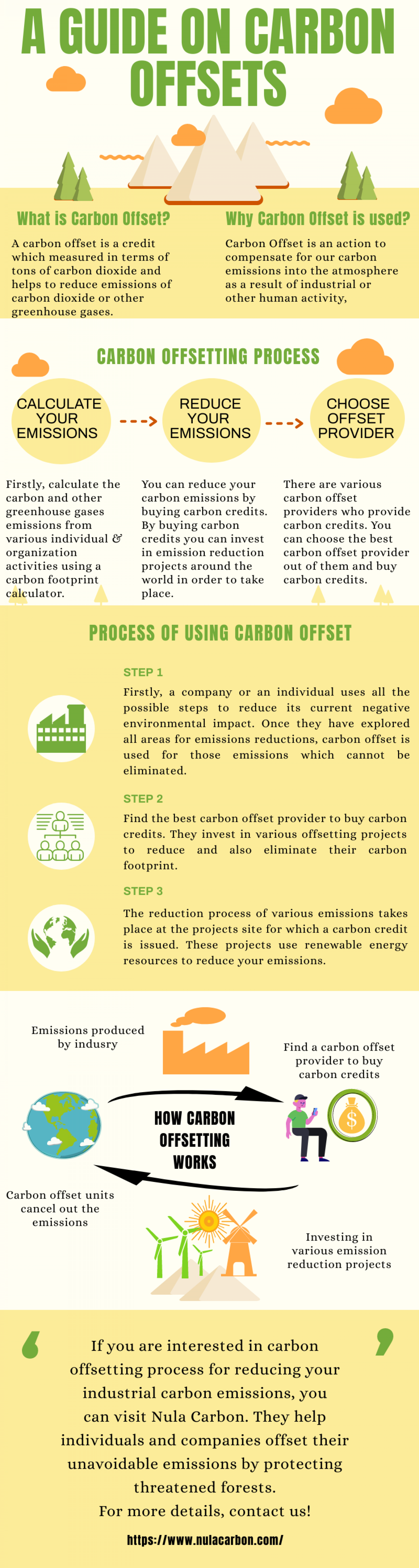 A Guide on Carbon Offsets Infographic