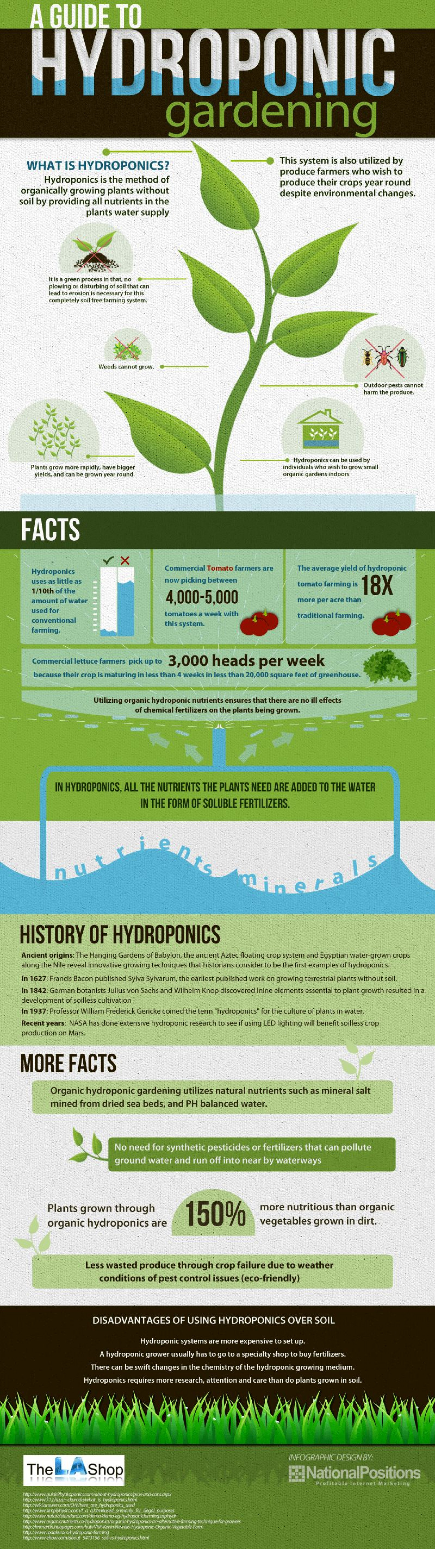 A Guide to Hydroponic Gardening Infographic