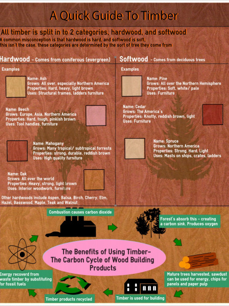 A Quick Guide to Timber Infographic