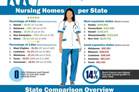  A Look at Nursing Homes in the US in 2013 Infographic