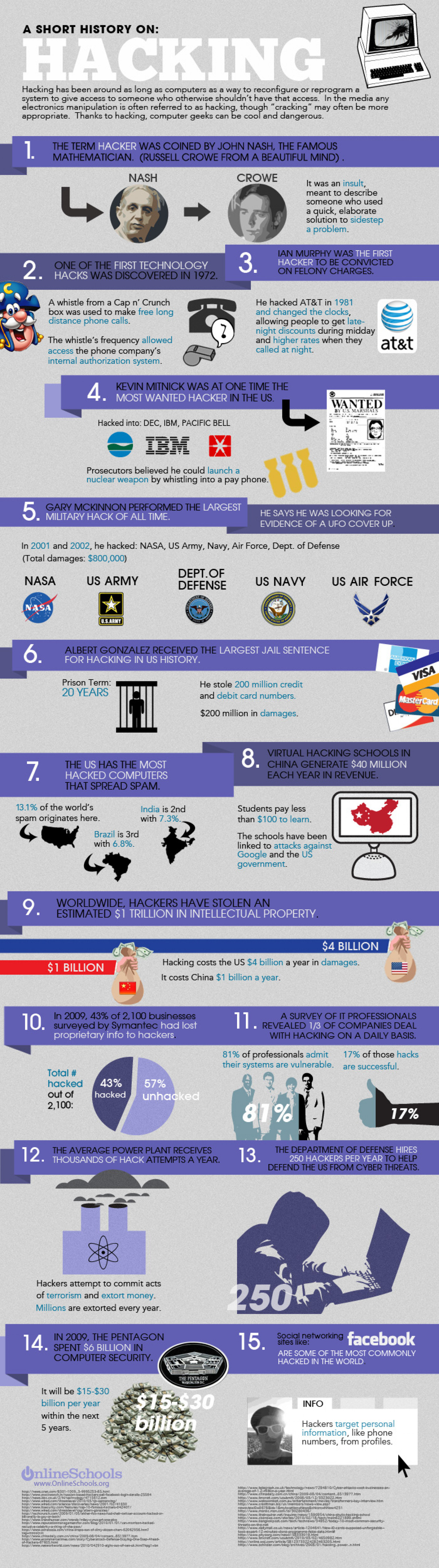 A Short Story On: Hacking Infographic