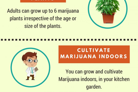 Acquiring Medical Marijuana Card in Los Angeles Infographic