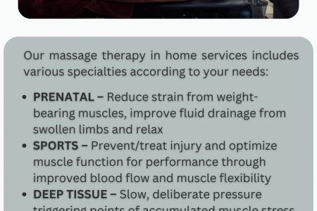 Adequate Home Massage Therapy Services Infographic