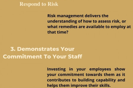 Advantages of Workshops on Risk Management by the Professional Trainer Infographic