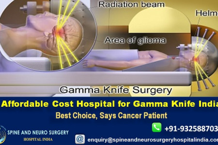 Affordable Cost Hospital for Gamma Knife India Best Choice, Says Cancer Patient Infographic