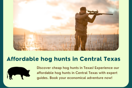 Affordable hog hunts in central Texas Infographic