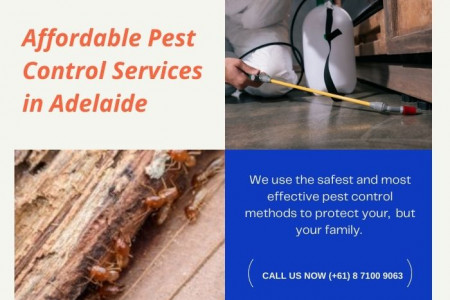 Affordable Pest Control Services in Adelaide Infographic